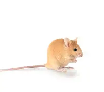 臓?侖傴?3PJ褍	?AY餈.鷳撆雸薛Q(Ｘzp?vS?mr面趸聄?V?稤ＧO畫?縰稬朳菚Z4?j铉蠙的简单介绍